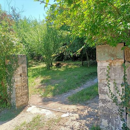 La Colline Aux Oiseaux, La Tranquillite Des Bois Molieres-sur-Ceze Exterior foto