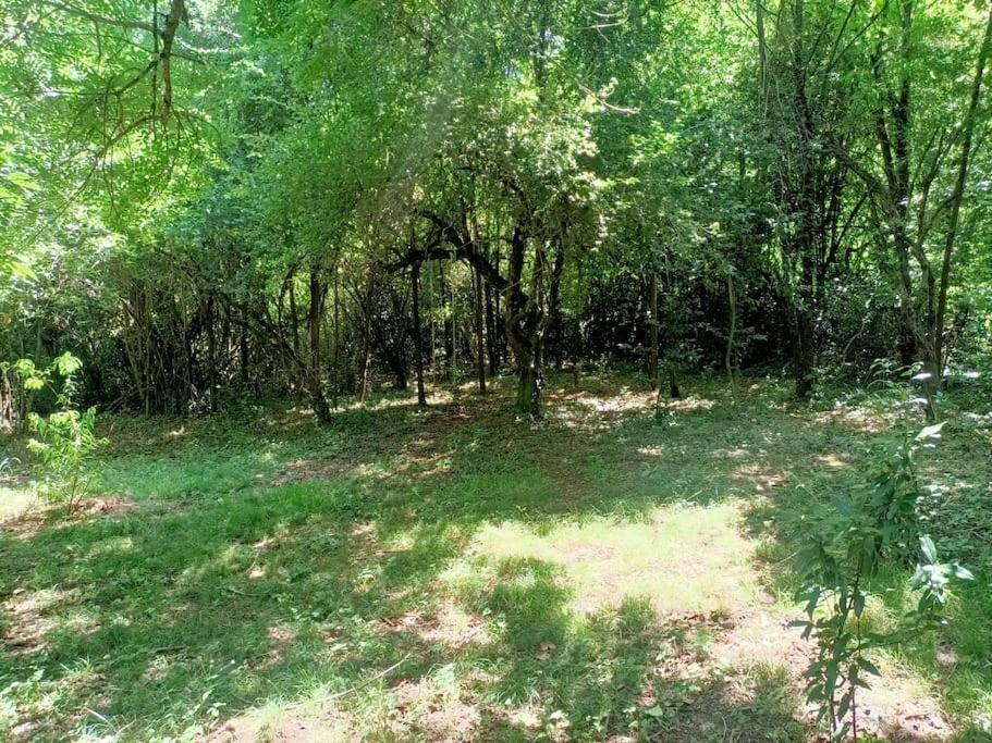 La Colline Aux Oiseaux, La Tranquillite Des Bois Molieres-sur-Ceze Exterior foto